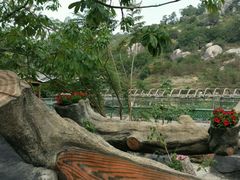 -丹樱生态园