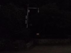 -金鸡山公园
