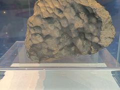 -吉林市博物馆
