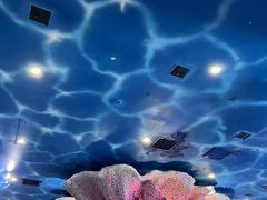 -西安曲江海洋极地公园
