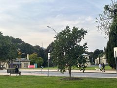 -墨尔本皇家植物园