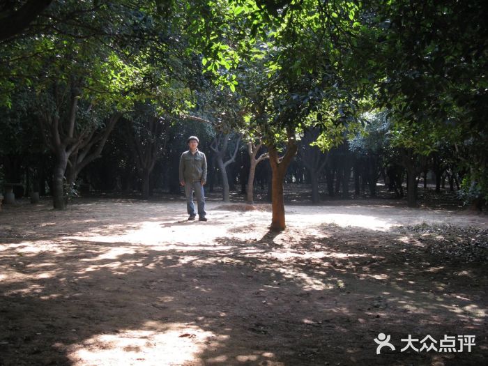 湖南烈士公园(芙蓉区)景点图片