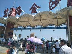 -碧海金沙