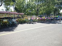 自行车-漕湖湿地公园