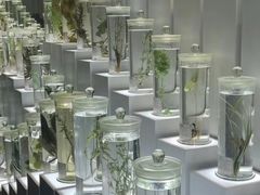 -广东中医药博物馆