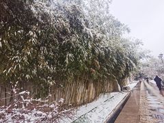 -团结湖公园