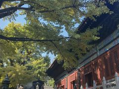 -红螺寺