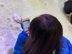 -宁波冰雪大世界(北仑区)