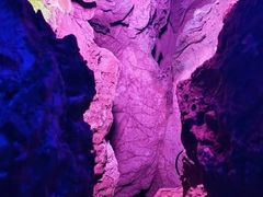 -天河潭旅游度假区