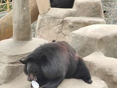 -石家庄市动物园