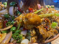 蛙麻蛙辣炭火蛙锅-蛙麻蛙辣炭火蛙锅(南环大街店)