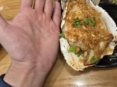-海派美食·家宴海鲜青岛菜·石锅鲽鱼头(东方城店)