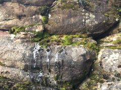 -阿萨巴斯卡瀑布观景点