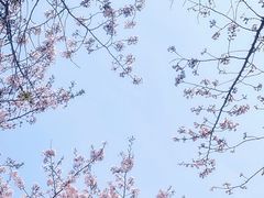 -西北湖绿化广场