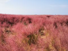 -长岛南北长山旅游景区