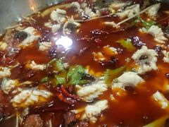 android_upload_pic-重庆乌鱼庄·龙滋鲜(青羊大道店)