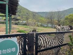 -无锡动物园·太湖欢乐园