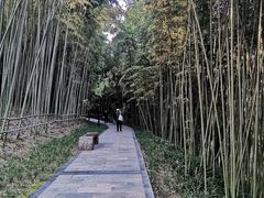 -龙头寺公园