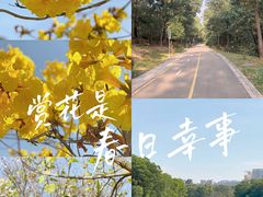 -聚龙山公园
