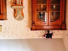 -金山农民画村-枫泾波兰倒置屋