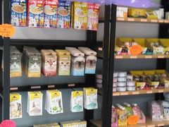 -伟伟宠物医院·瑞派猫友好医院·猫科(光谷店)