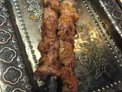 红柳烤肉-新疆伏拉沃餐厅(白龙南路店)