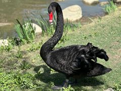 -苏州湾·王焰温泉