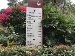 -金鸡山公园