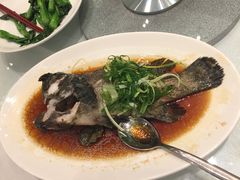 -海都六福酒家(世博广场店)