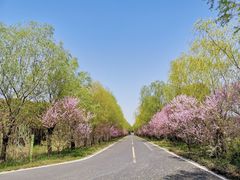 -同里国家湿地公园