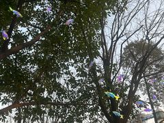 -成都欢乐谷