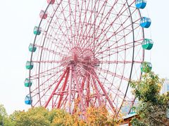 -南湖梦幻岛