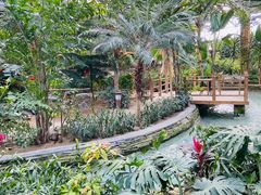 -南宫五洲植物乐园