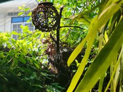 -自然餐厅(Phuket)