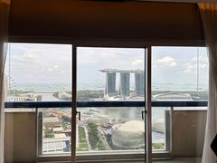 -新加坡瑞士史丹福酒店