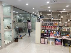 -当汪遇见喵宠物店