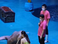 -烟台海昌鲸鲨海洋公园