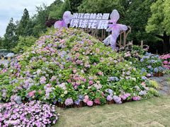 -上海滨江森林公园