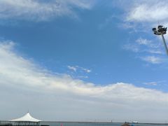-碧海金沙