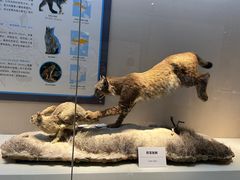 -国家自然博物馆