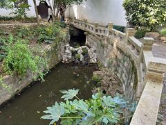 -上海醉白池公园