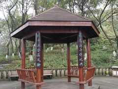 -重庆平顶山公园