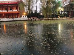 -新川办餐厅