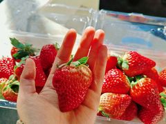 -马场洞肉铺(高丽街店)