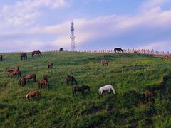 -坝上草原大汗行宫旅游景区