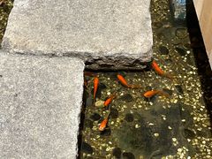 -邈墨茶馆(凤起路店)