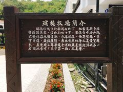 -瑞穗牧场
