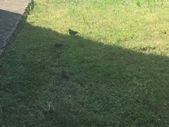 -御花园·粤菜·海鲜火锅(中山公园店)