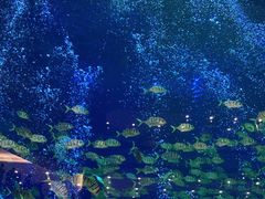 -成都浩海立方海洋公园