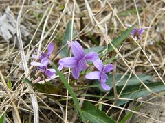 -南京市无想山景区